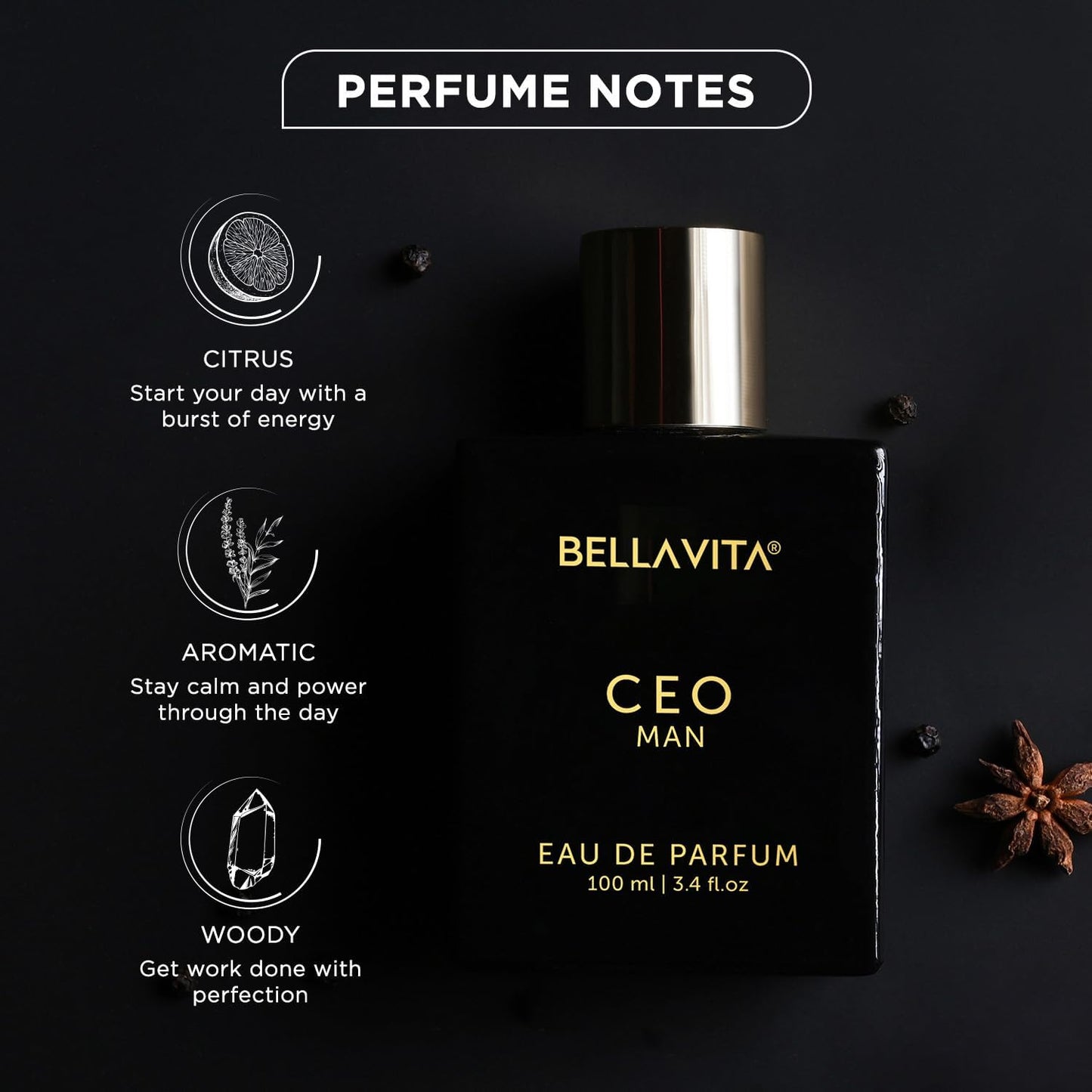Bella Vita CEO MAN Perfume for Men |