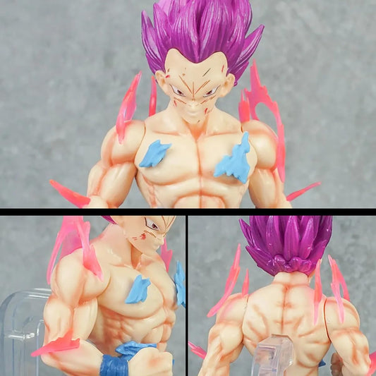 Dragon Ball Z Vegeta 💜 God of Destruction