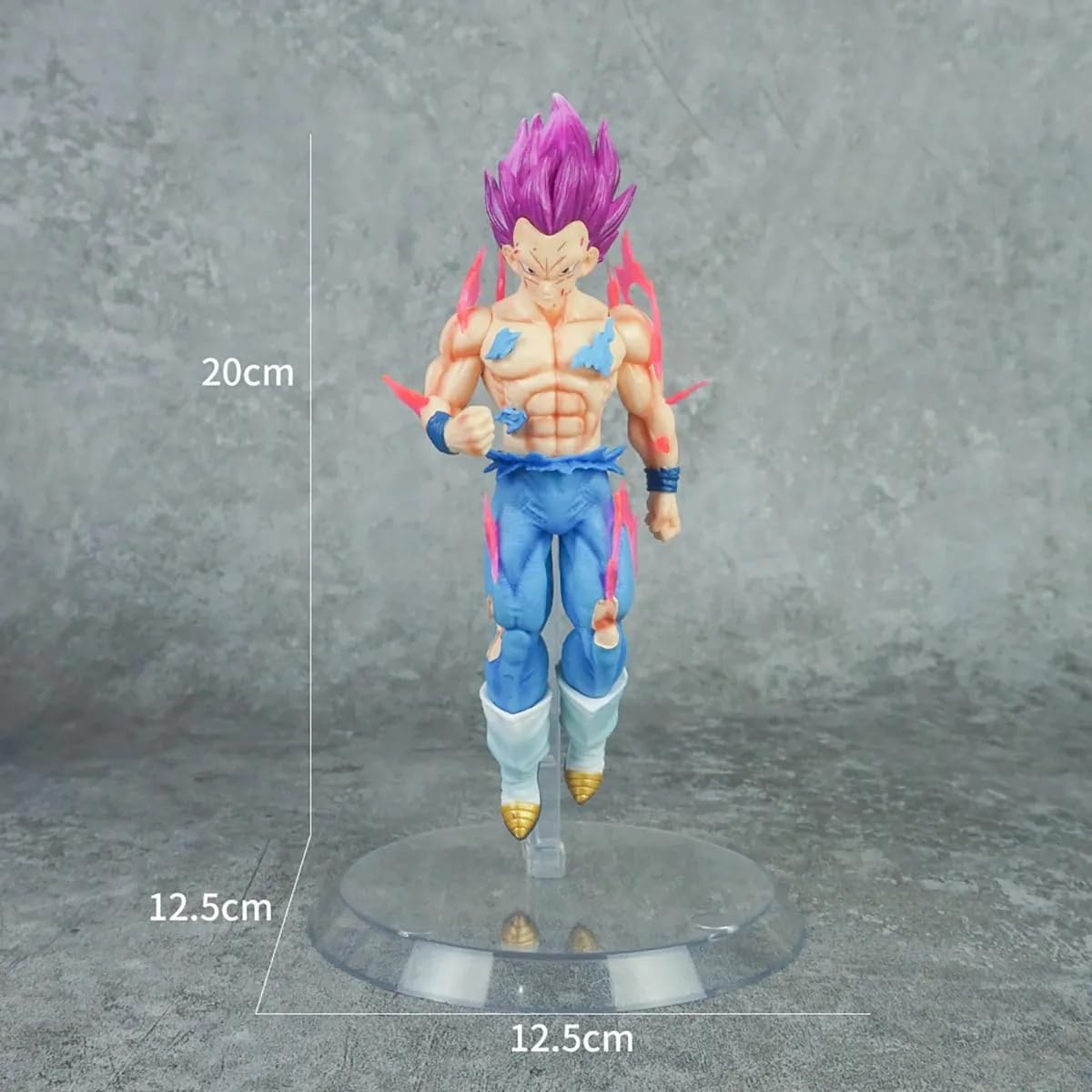 Dragon Ball Z Vegeta 💜 God of Destruction
