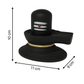 Black Shivling Idol with Golden Base🎇🎇