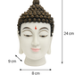 🪷 Buddha Head Idol-